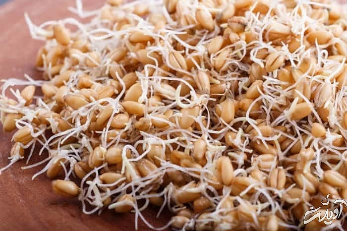 خاصیت جوانه گندم 